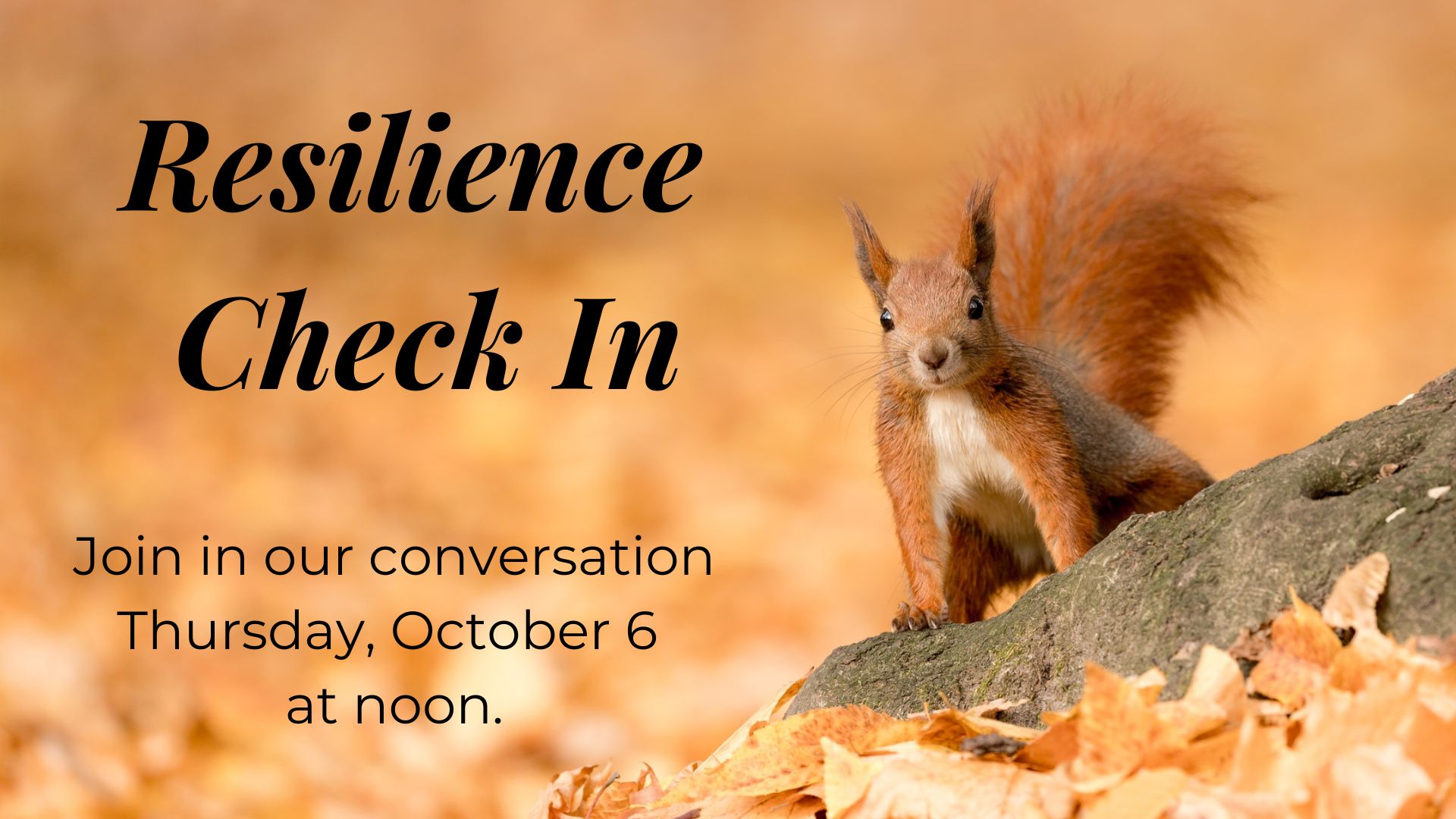 Poster advertising "Resilience Check In" Thursday, October 6 at noon EST.