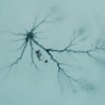 neuro-spicy