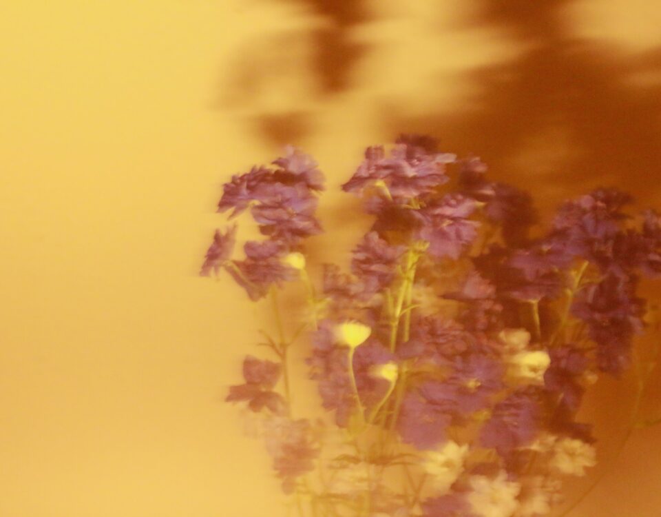 liminality