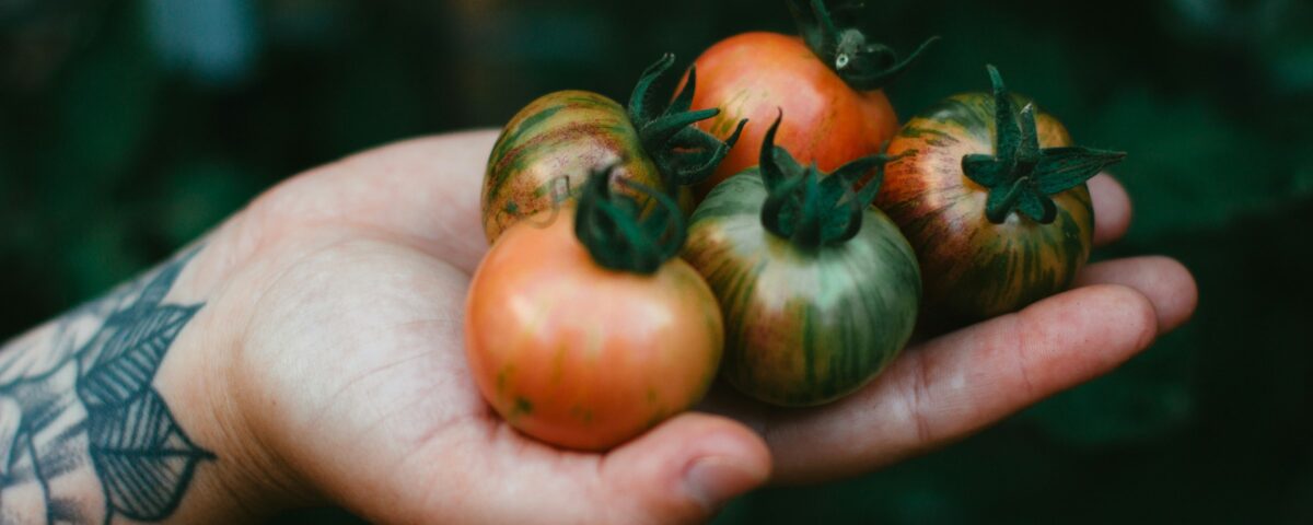Harvest