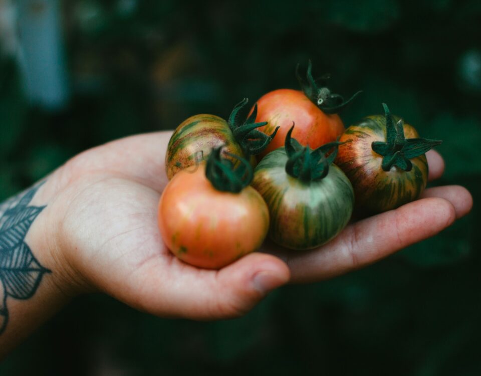 Harvest