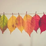 change