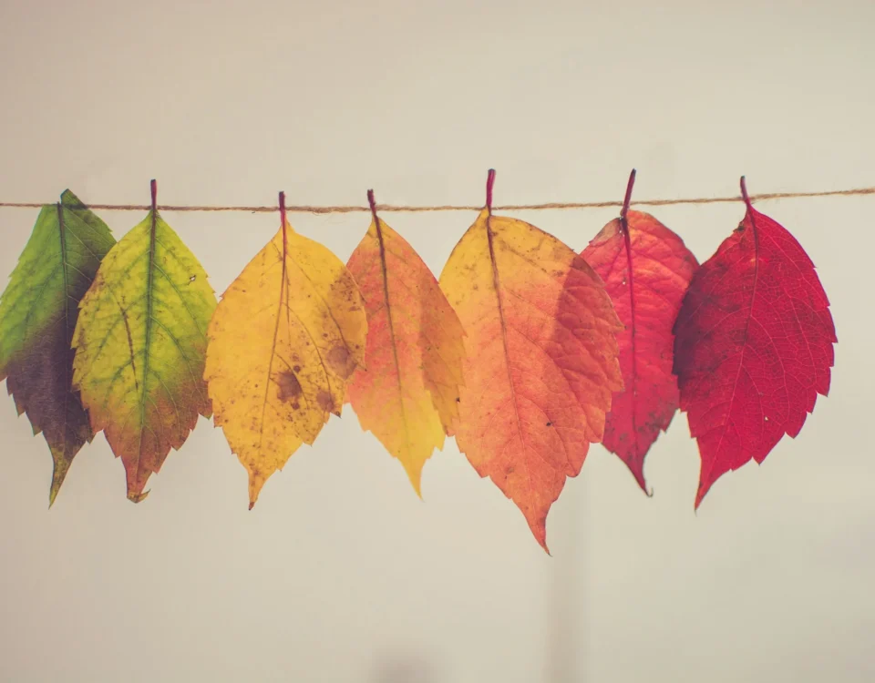 change